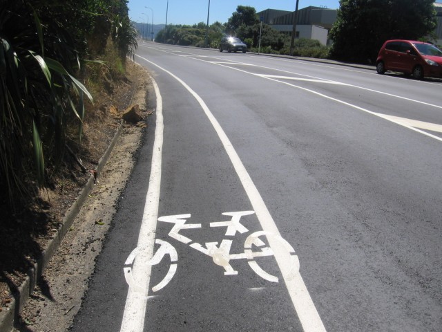 Evans Bay Parade cycle lane